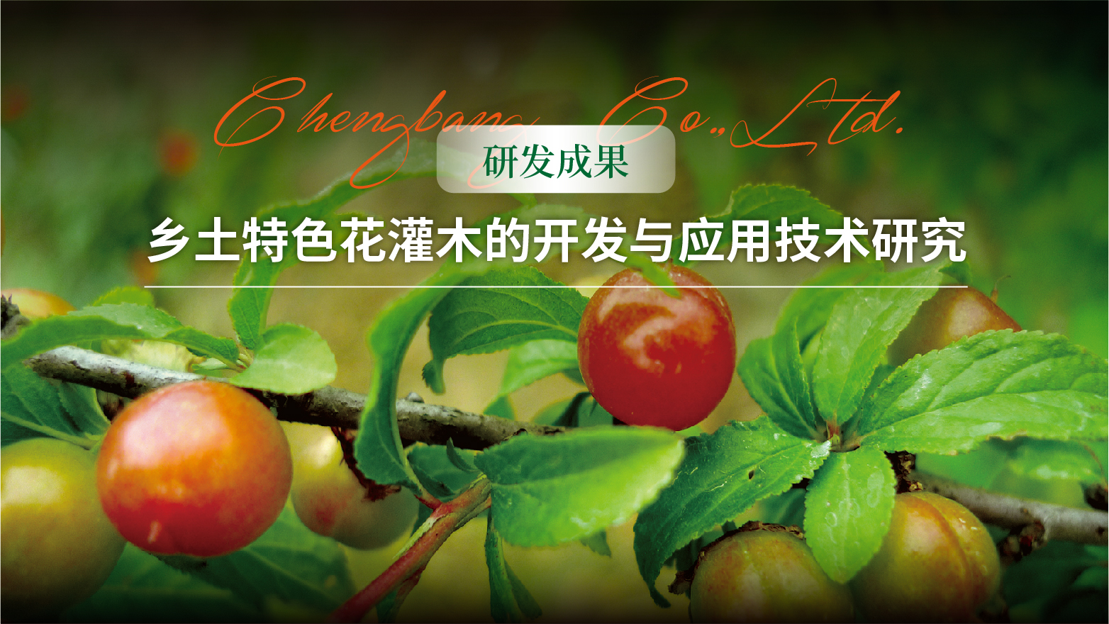 0718 【研发成果】乡土特色花灌木的开发与应用技术研究头图-01.jpg