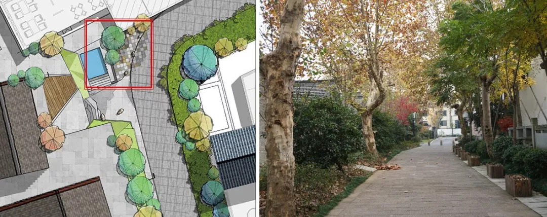 15369121556577402688.jpg image019.jpg