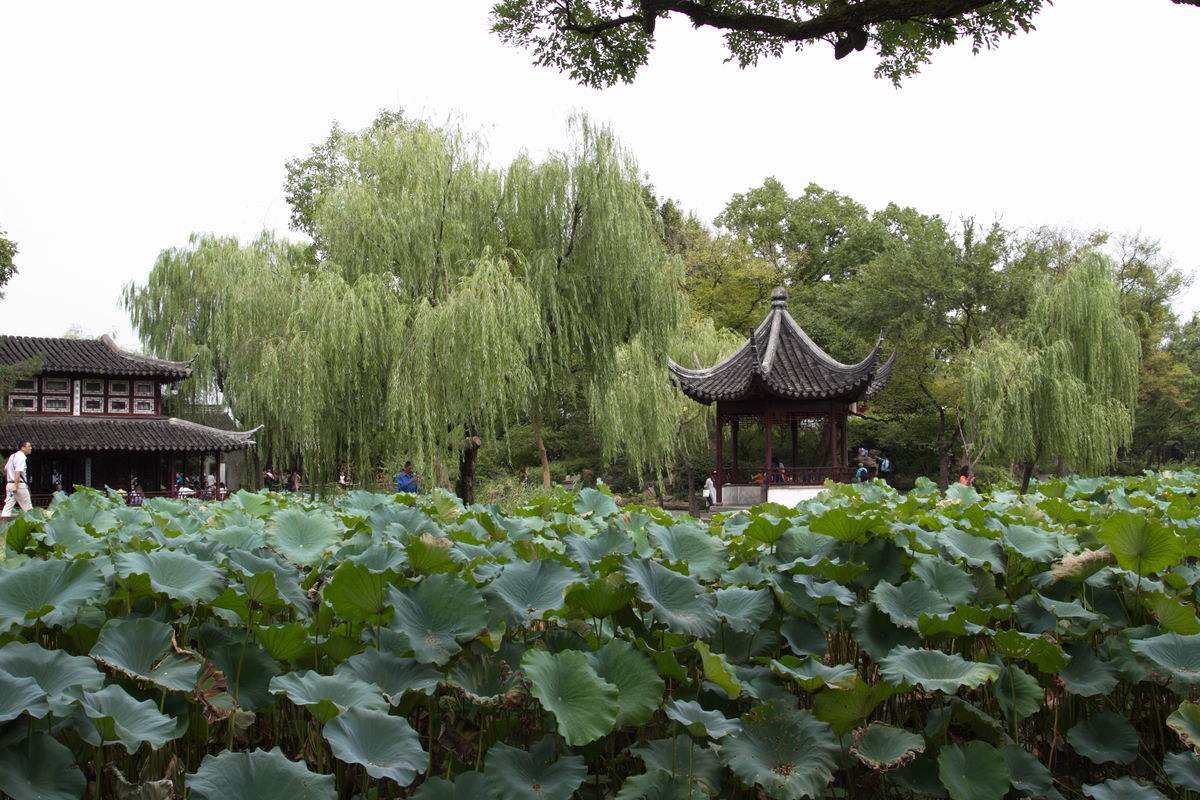 15390532685037302C9E.jpg image005.jpg