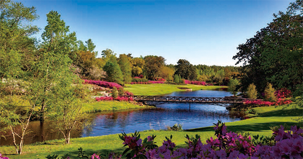 1544411903111947B2BB.jpg 未标题-1.jpg